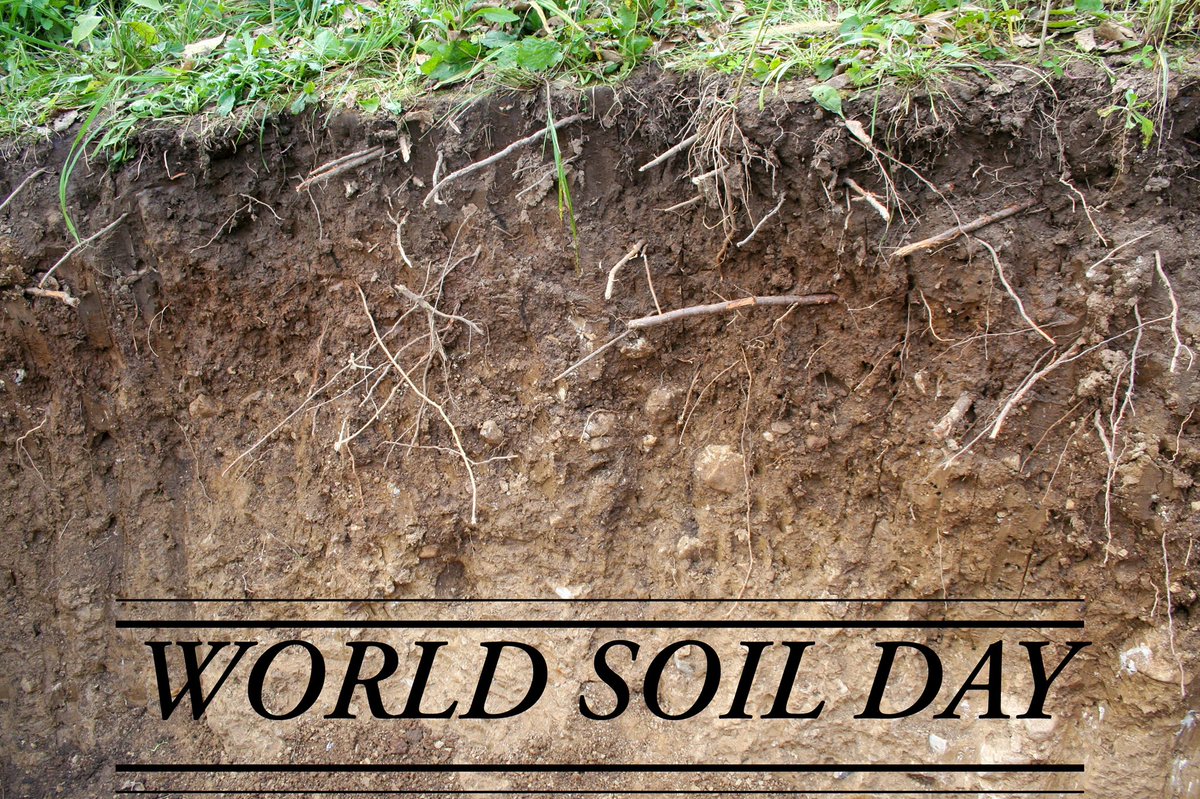 Happy #WorldSoilDay everyone! This year’s theme (Soil and Water, A Source of Life) aims to raise awareness of the importance and relationship between #soil and #water in achieving sustainable and resilient agricultural systems.