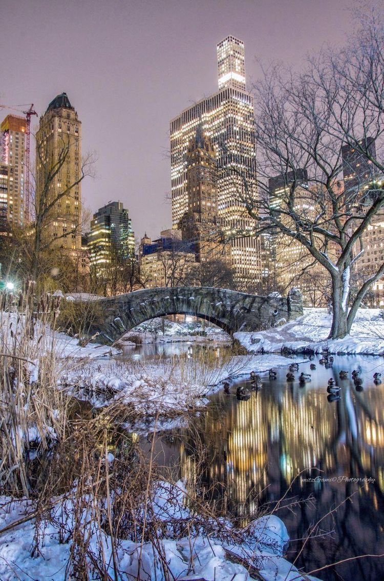 iSweethearts's tweet photo. que el sueño de visitar New York con mi amorcito en navidad se cumpla 🗽💙 https://t.co/eOotI1BkO2