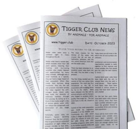 <a href="/DanielleBayes/">Danielle Bayes | Content Undifficulted</a> Hi everyone,
I am Tigger and I am probably the only lurcher that publishes a monthly newspaper that is By Animals- For Animals. 
I also have a pawsome fun filled  informational website.
tigger.club
#SBSWinnersHour