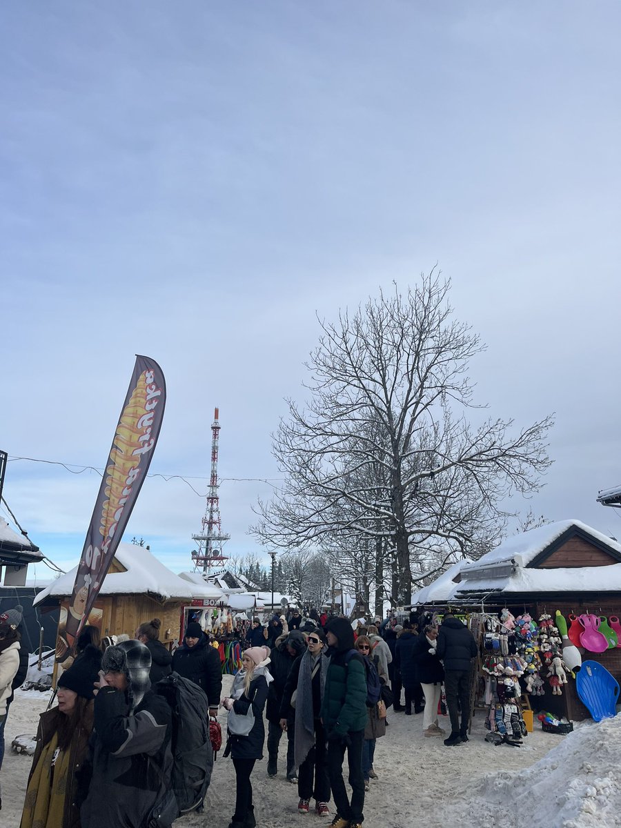 Emma moloney tweet media