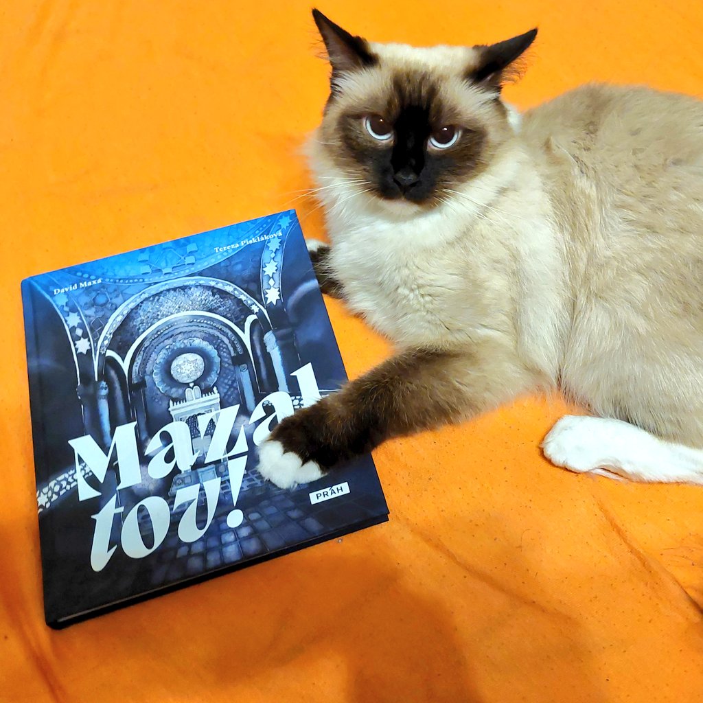 RabbiDavidMaxa's tweet image. Rabínova kočka čte Mazal tov. 😺 A co Vy? Pokud naši knihu ještě nemáte, můžete si ji objednat na prah.cz/naucna-literat…. 🙂 #mazaltov