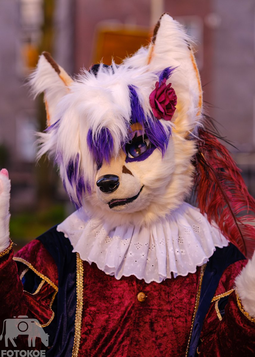 hamish the FotoKoe (@cuddlypants) on Twitter photo And don't forget that the sint has some of the most extraordinary help this year.
Featuring
<a href="/volgeblaft/">β’ πΈ π π β’ ππ</a> , <a href="/Viiivixen/">β¨ Violet β¨ @NFC</a> & <a href="/MiesdoCreations/">ππ MiesdoCreations ππ</a>
(No I didn't reupload this you have no proof) And don't forget that the sint has some of the most extraordinary help this year.
Featuring
<a href="/volgeblaft/">β’ πΈ π π β’ ππ</a> , <a href="/Viiivixen/">β¨ Violet β¨ @NFC</a> & <a href="/MiesdoCreations/">ππ MiesdoCreations ππ</a>
(No I didn't reupload this you have no proof)