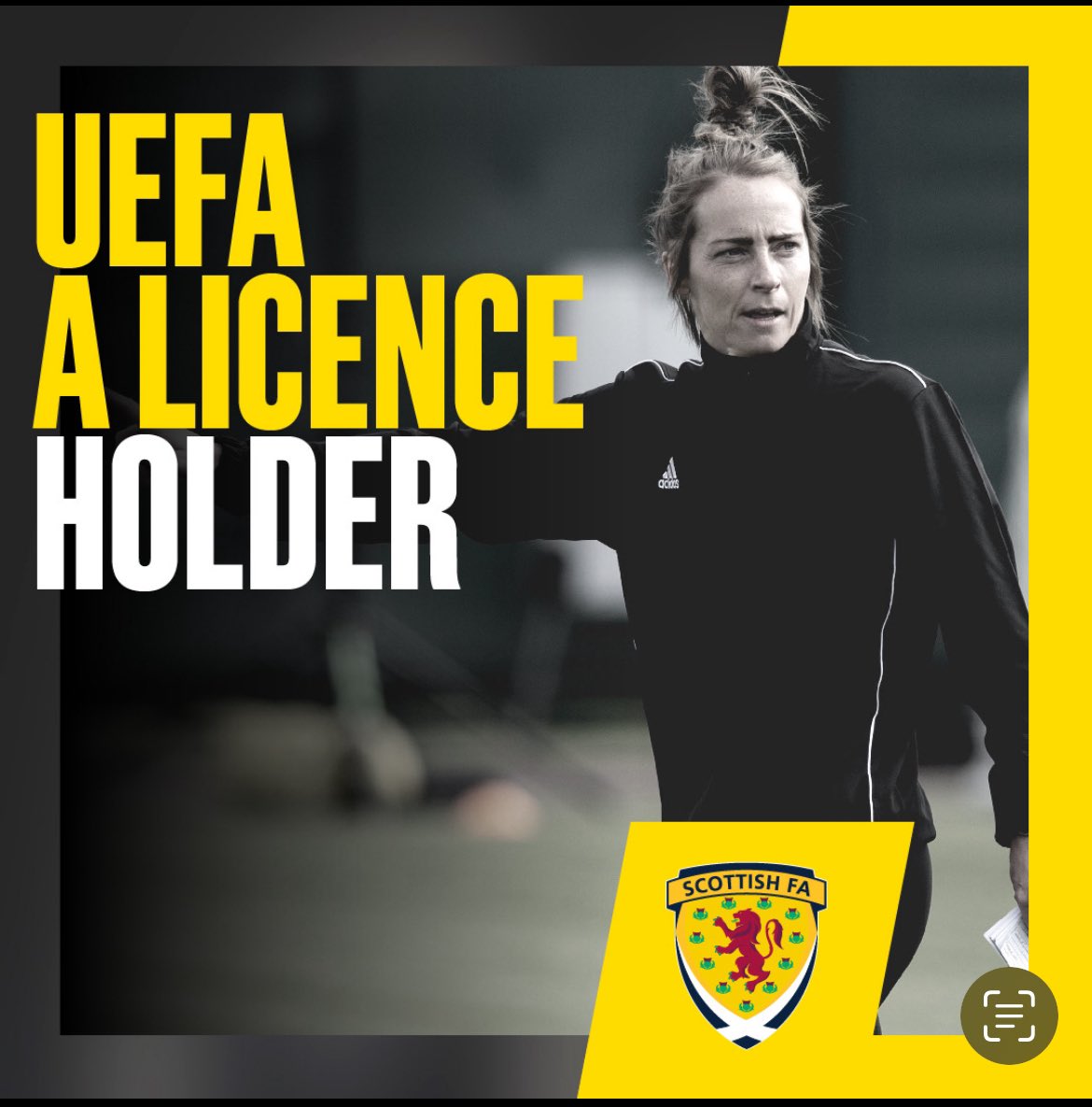 David Gold tweet media