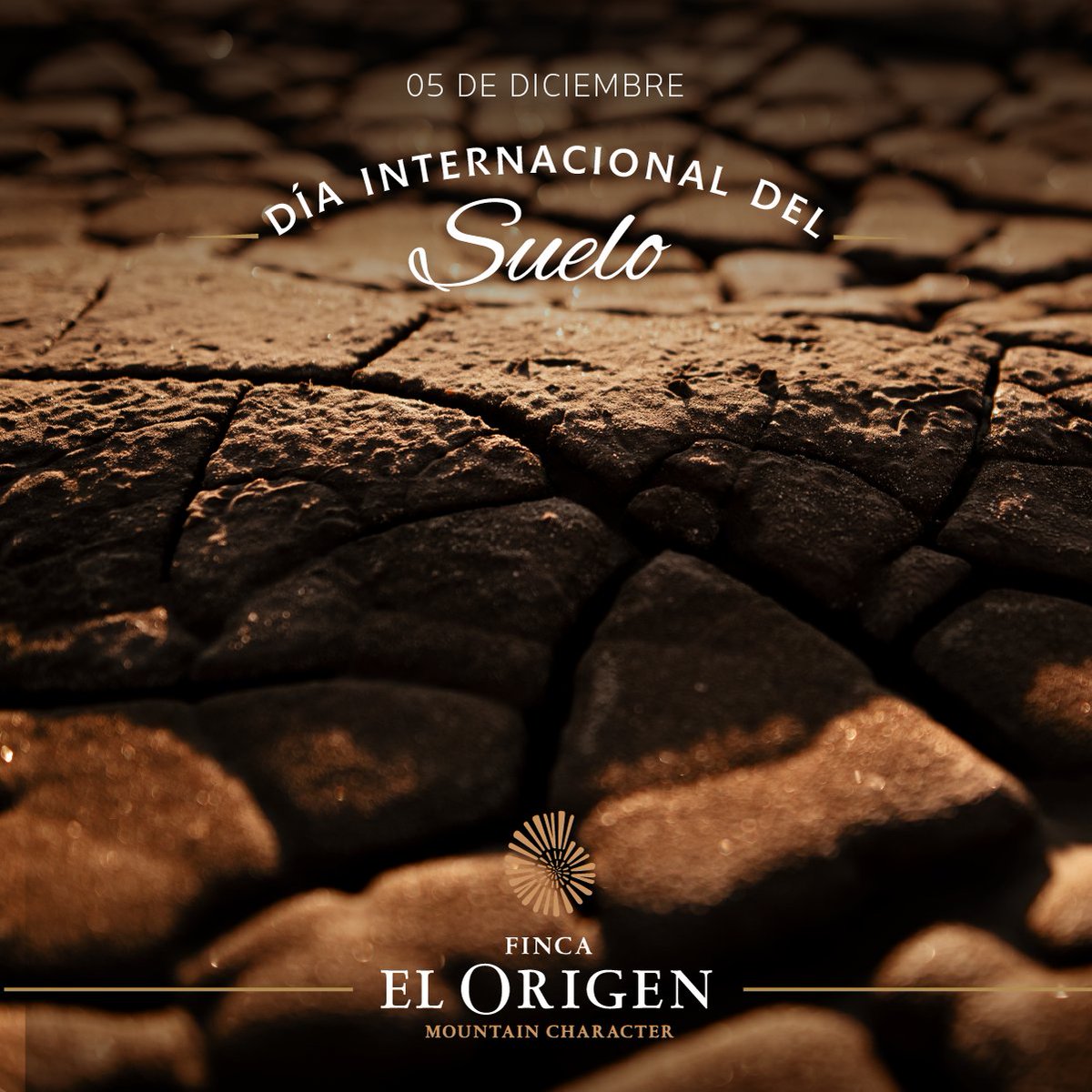 En Finca El Origen, cada gota de nuestros vinos lleva consigo la esencia del suelo de montaña. Celebramos la importancia de este terroir único¡Descubrí la magia de la tierra en cada sorbo! 🌍🍇

#FincaElOrigen #Suelo #Mendoza