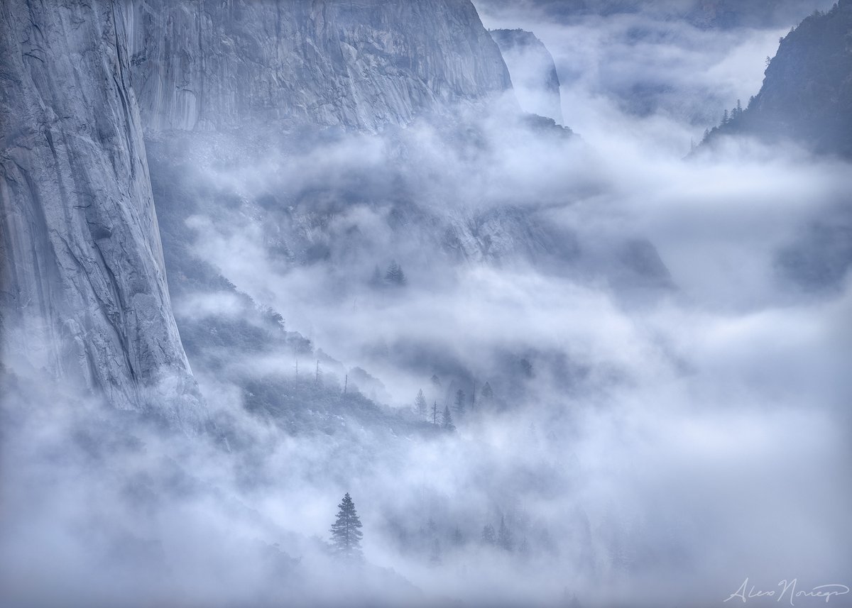 Alex Noriega tweet media