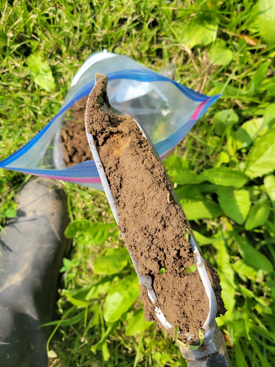 Happy World Soil Day. We have learned alot over the years, but still more work to be done to understand how best to care for this resource. #ontag #SoilHealth #worldsoilday2023