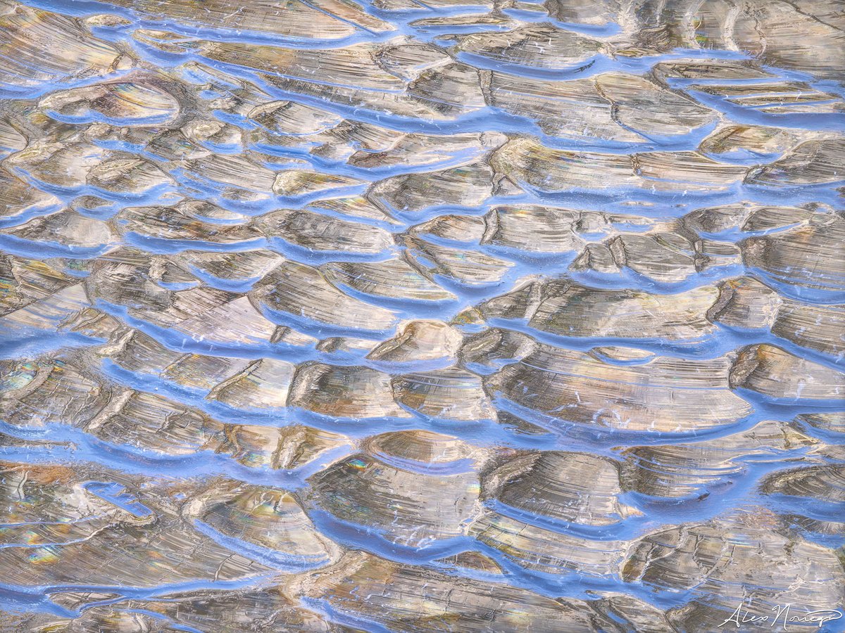 Alex Noriega tweet media