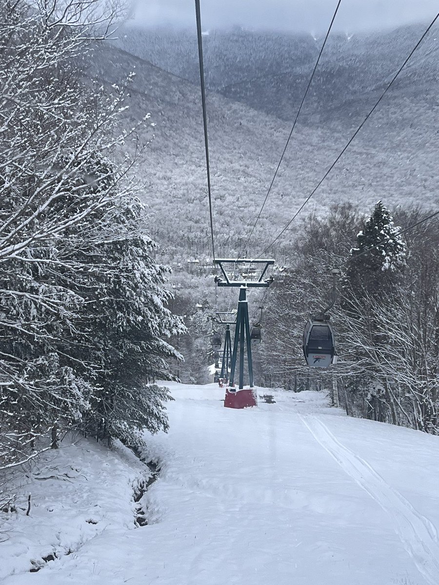 Carol Dozibrin tweet media