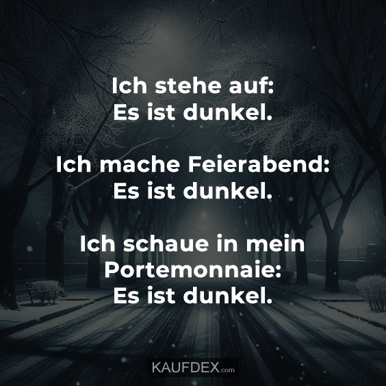KDonYT's tweet photo. Ich stehe auf: Es ist dunkel. Ich mache Feierabend: Es ist dunkel. Ich schaue in mein Portemonnaie: Es ist dunkel. https://t.co/n2kLsMUyLl