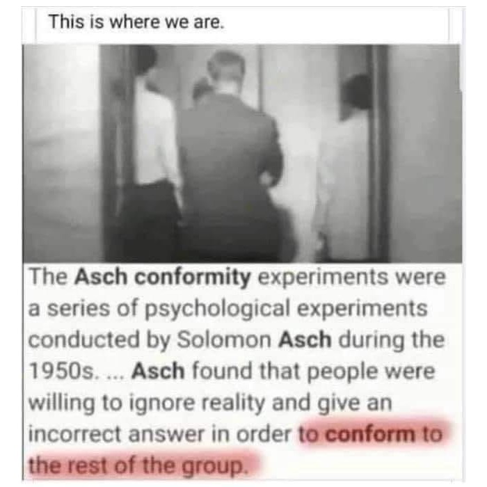 gwpro's tweet image. In case you are wondering where society is, this is where it is.  #conformity #obey #comply #reality #control #experiment #TrustTheScience #narrative #propaganda #influencers #optout