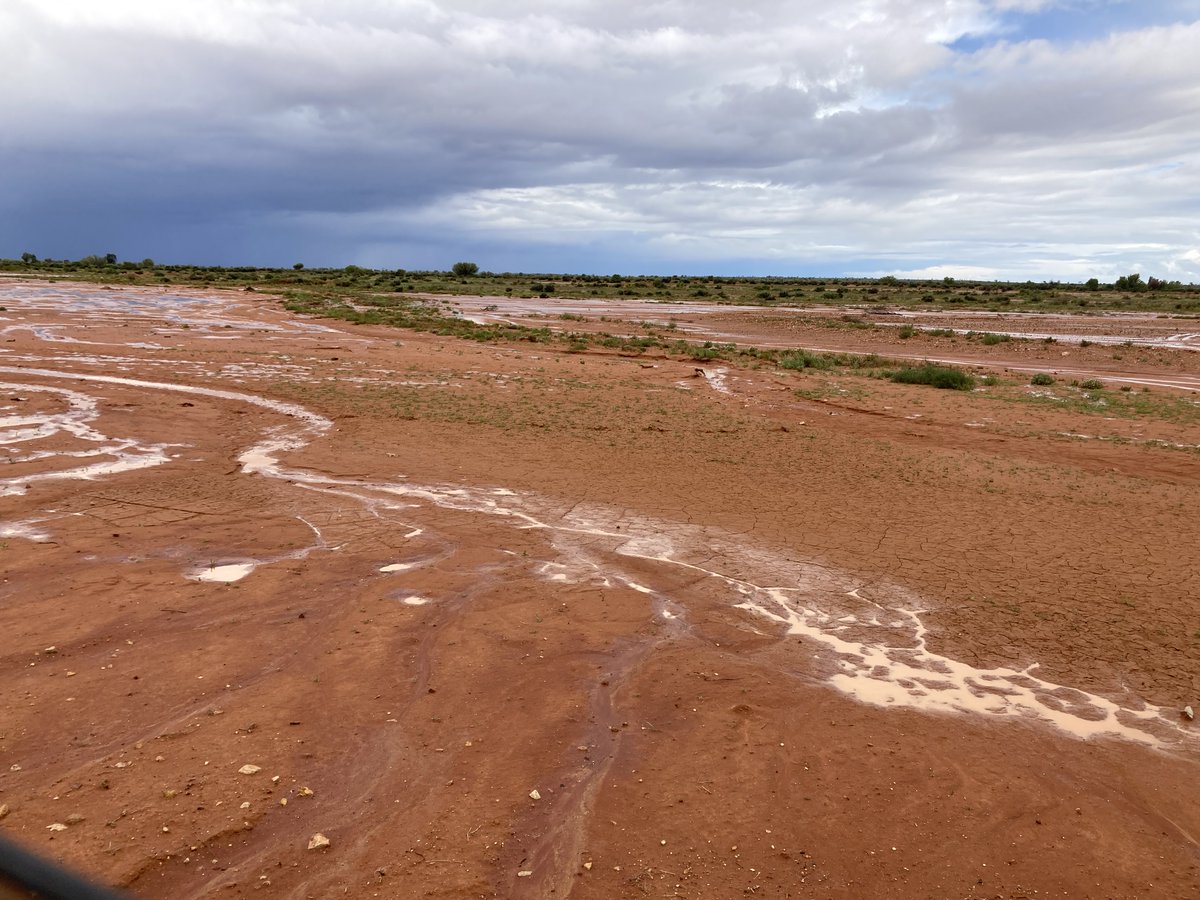 Our 2nd winner for the #worldsoilday photo comp is Karl Andersson! 

Picture shows life giving rain being captured by mounding to trap moisture and seeds on a scald in far-western NSW

<a href="/FAO/">Food and Agriculture Organization</a> <a href="/SoilScienceAust/">Soil Science Australia</a> @NSWDPI_AgWater