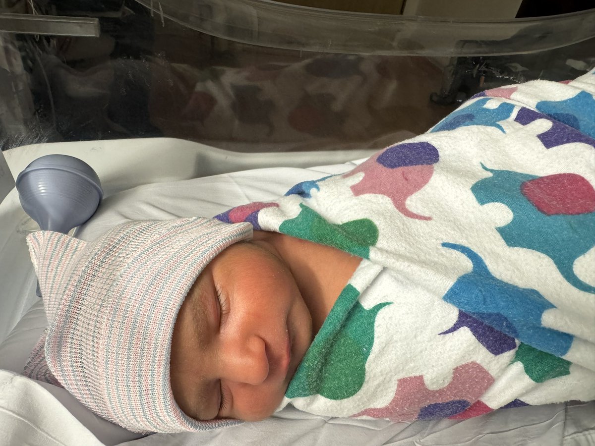 Roxana Daneshjou MD/PhD tweet media