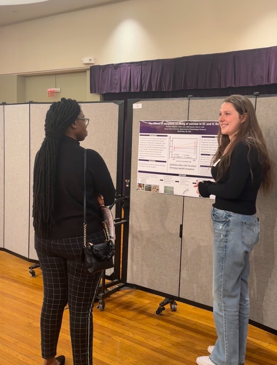 KSU OURCI DSP tweet media