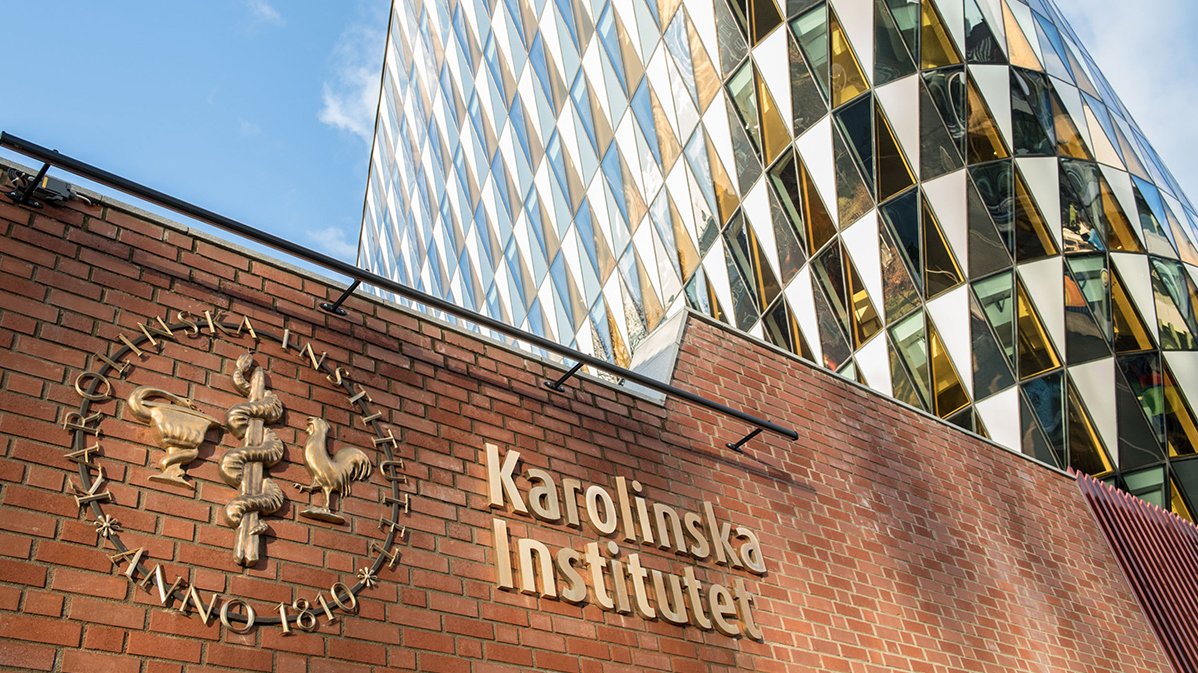 Lewandowski S.A. tweet media