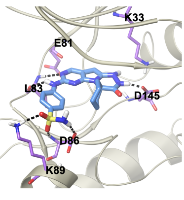 Cancer Discovery (@cd_aacr) on Twitter photo #OnlineFirst: INX-315, a Selective #CDK2 Inhibitor, Induces Cell Cycle Arrest and Senescence in Solid Tumors, by Catherine Dietrich, Alec Trub, Patrick Roberts, <a href="/shomgoel/">Shom Goel</a> et al.
bit.ly/47NIuWr
<a href="/incyclixbio/">Incyclix Bio</a> <a href="/PeterMacCC/">Peter Mac Cancer Centre</a> #OnlineFirst: INX-315, a Selective #CDK2 Inhibitor, Induces Cell Cycle Arrest and Senescence in Solid Tumors, by Catherine Dietrich, Alec Trub, Patrick Roberts, <a href="/shomgoel/">Shom Goel</a> et al.
bit.ly/47NIuWr
<a href="/incyclixbio/">Incyclix Bio</a> <a href="/PeterMacCC/">Peter Mac Cancer Centre</a>