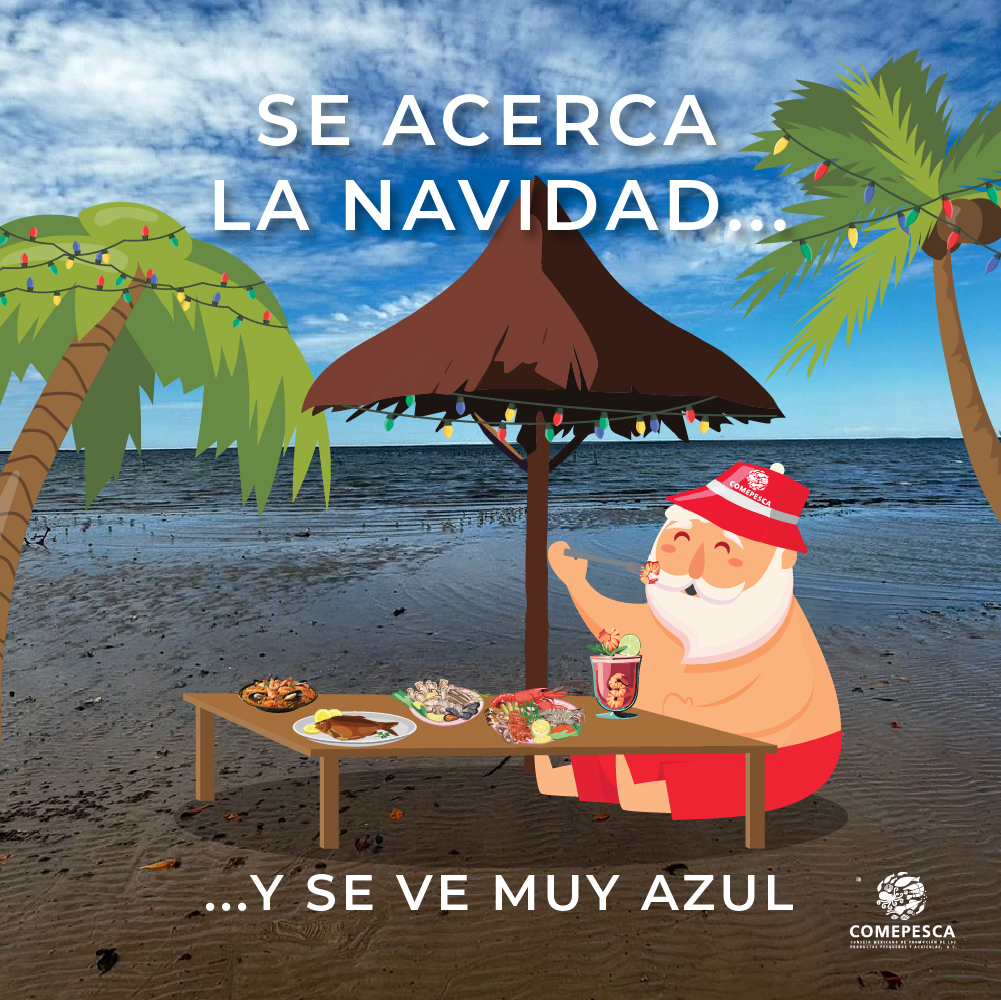 ¡Ya llegó Diciembre!
