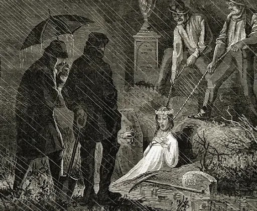 HauntedHistory4's tweet photo. Michael Bell uncovers story upon story of dying men, women, and children who believed they were food for the dead.
For more 👉 https://t.co/IL9UUpx7Ed
#hauntedhistory #newenglandvampire #mercybrown #vampirefolklore #darkhistory #ofdarkandmacabre #darkacademia https://t.co/ECX5pFGiSv