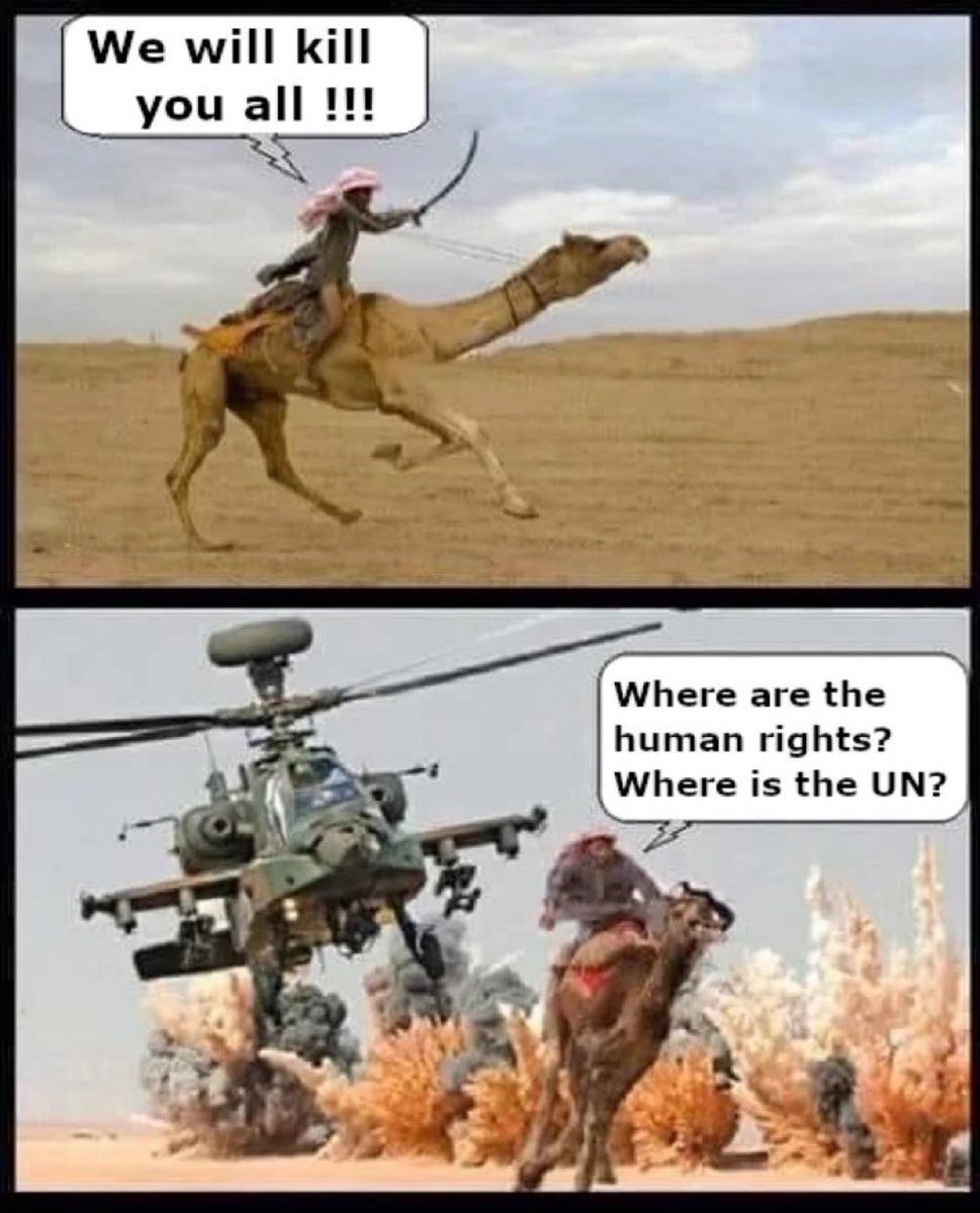 #hamas made #Gaza their battlefield for their #war against #Israel &amp; #humanity. <a href="/UN/">United Nations</a> <a href="/UNRWA/">UNRWA</a> <a href="/UNHumanRights/">UN Human Rights</a> <a href="/UNICEF/">UNICEF</a> <a href="/amnesty/">Amnesty International</a> <a href="/UNOCHA/">UN Humanitarian</a> <a href="/WHO/">World Health Organization (WHO)</a> <a href="/volker_turk/">Volker Türk</a> <a href="/DrTedros/">Tedros Adhanom Ghebreyesus</a> #USA #Europe #Iran #Qatar #Hezbollah #isis #waronterror #Turkey