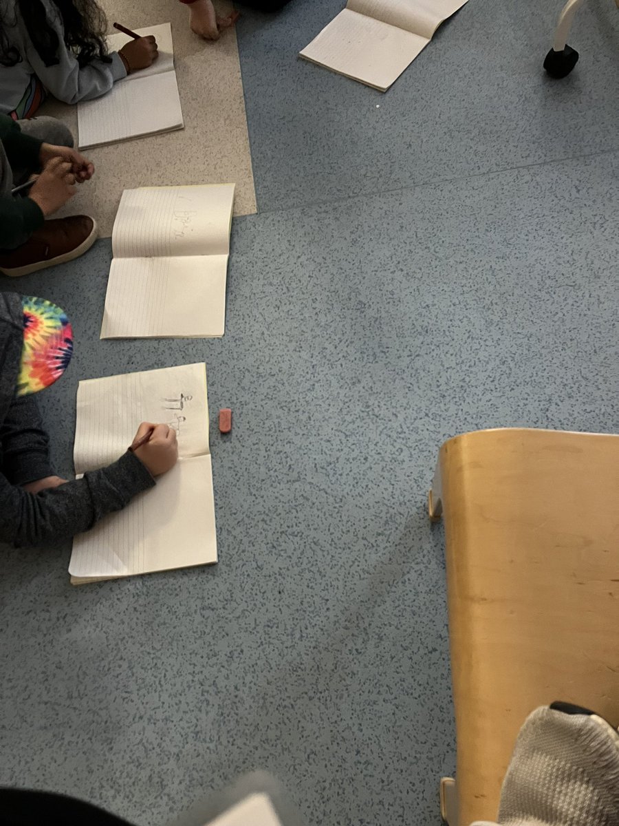 Watching a live bird feeding cam and writing about what we see!!