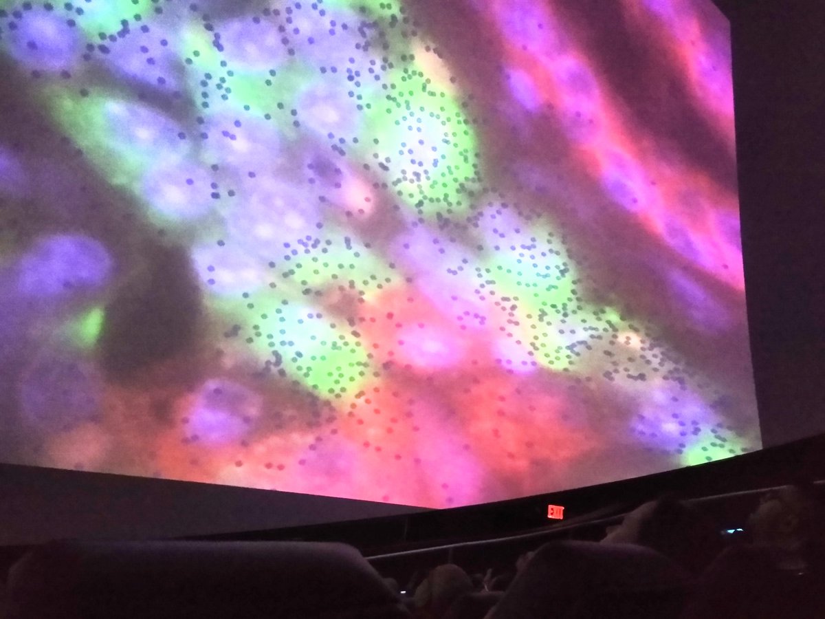 Quentin Vicens tweet media