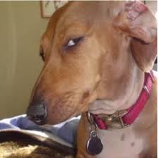 DMV worker watching me pull up in a car to get my license