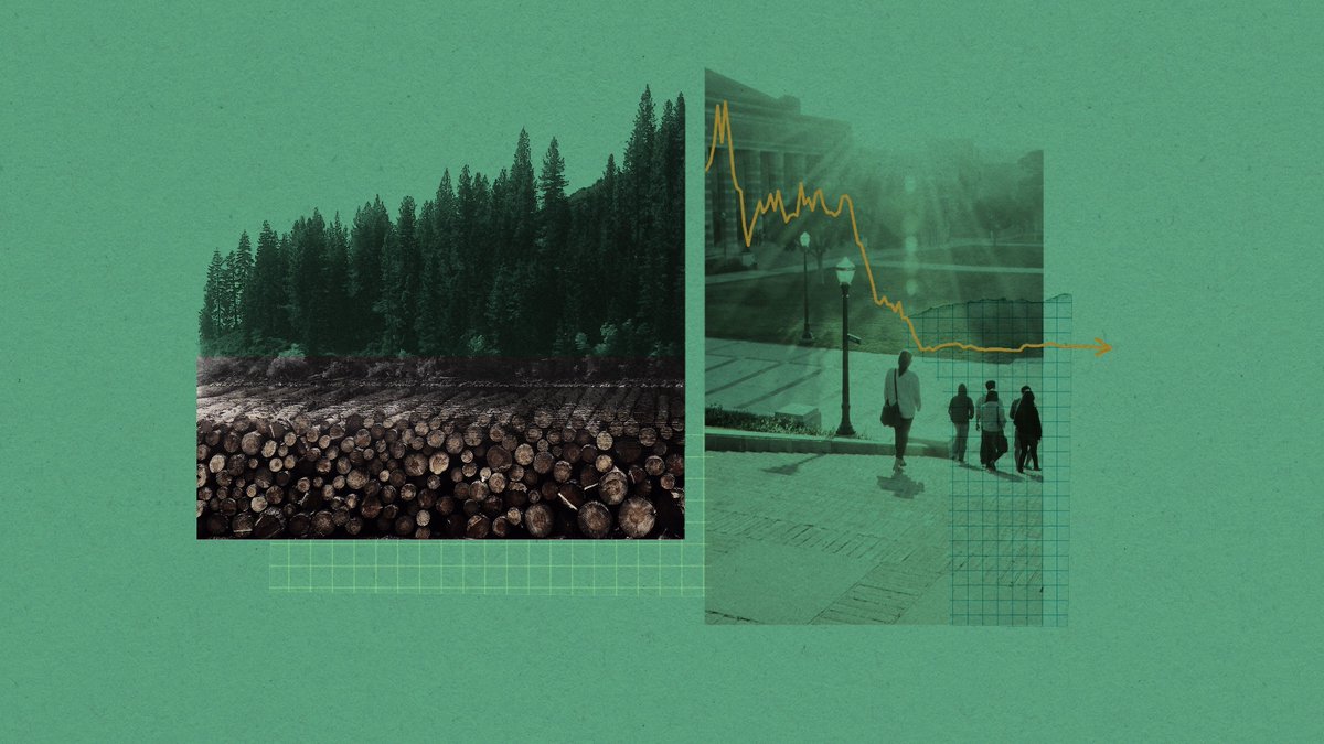 designbuildlabs's tweet photo. The University of California has all but dropped carbon offsets—and thinks you should, too https://t.co/t73r8pJC4e https://t.co/tj5LOoLwbo