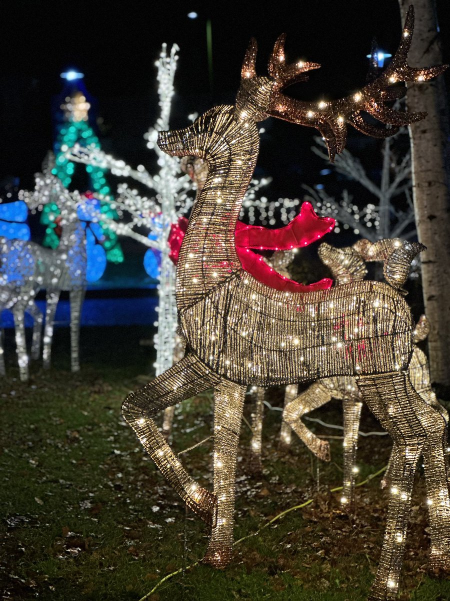 PeartreeSpring's tweet photo. Christmas has most definitely arrived at Peartree Spring. Please come and see our lights and have your photos taken. The gates are open until 6pm every weekday evening. https://t.co/TcEPFEGFAi