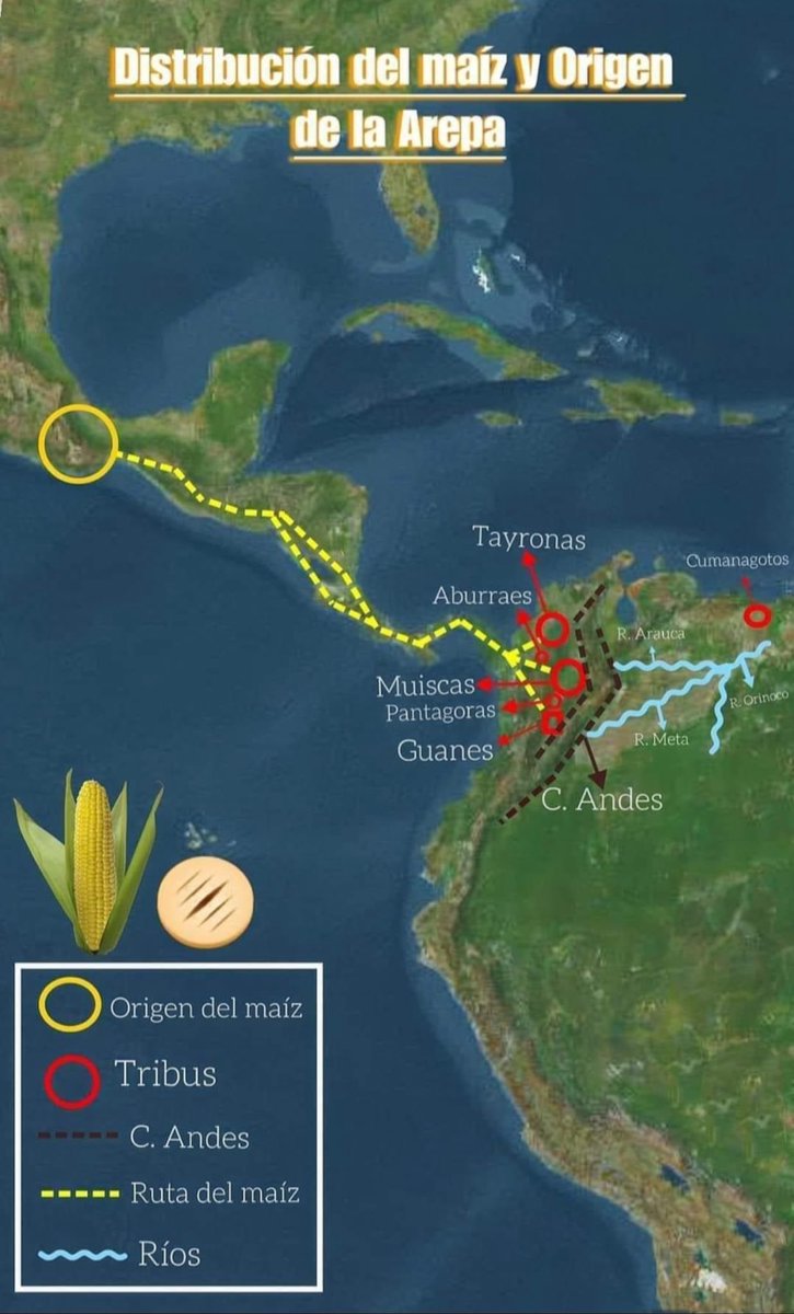 Trinanditoo's tweet image. En Facebook resolvieron el tema del origen de la arepa