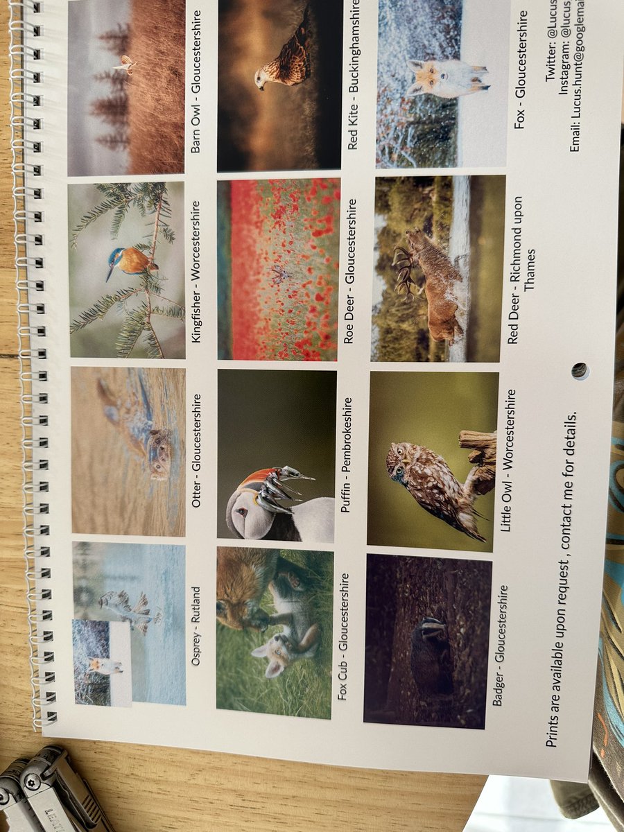 lucus_hunt's tweet image. 2023 calendars still available but selling fast get them why you still can #sellingfast #calenders #2023Calendar #wildlifephotography #NaturePhotography #ukwildlife #wildlife
