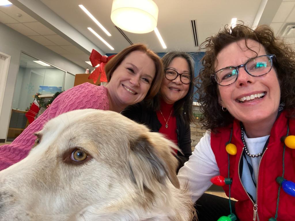 Potomac_Bank's tweet photo. Our CEO #AliceFrazier brought Bella along for the ride. They visited all branches today with some BCT goodies! #DogsAtWork #myBCT #WorkCanBeFun #HappyHolidays https://t.co/eMshEtcVbV