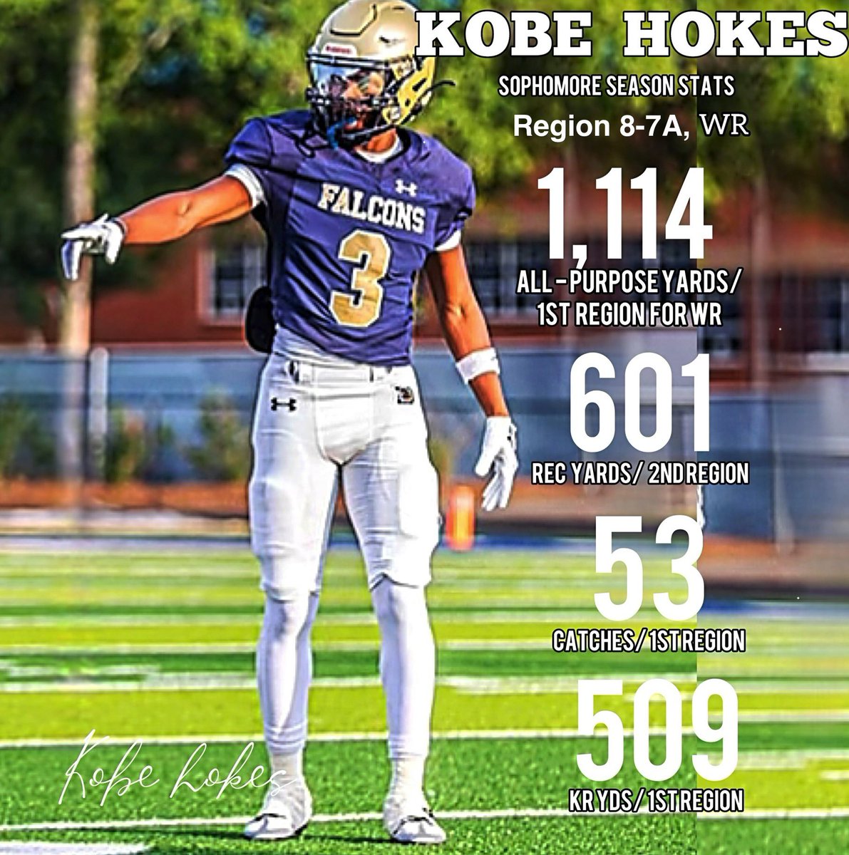 Kobe Adeleke-Hokes Wake Forest WR tweet media