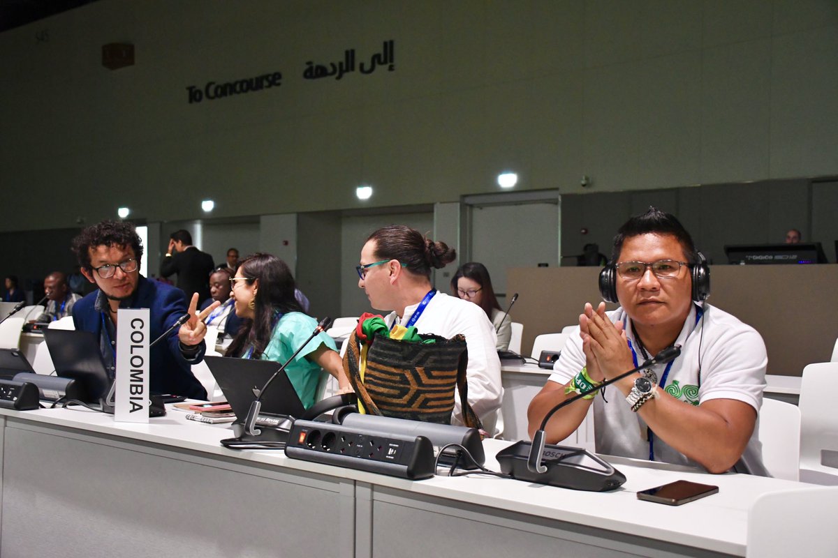 📢 Por primera vez los Pueblos Indígenas participamos como delegación de Gobierno Colombiano 🇨🇴 en la #COP28 en #Dubai. Posicionamos la contribución de los sistemas de conocimiento y gobierno indígena en la lucha contra el cambio climático frente a 190 países. 🛖🍃