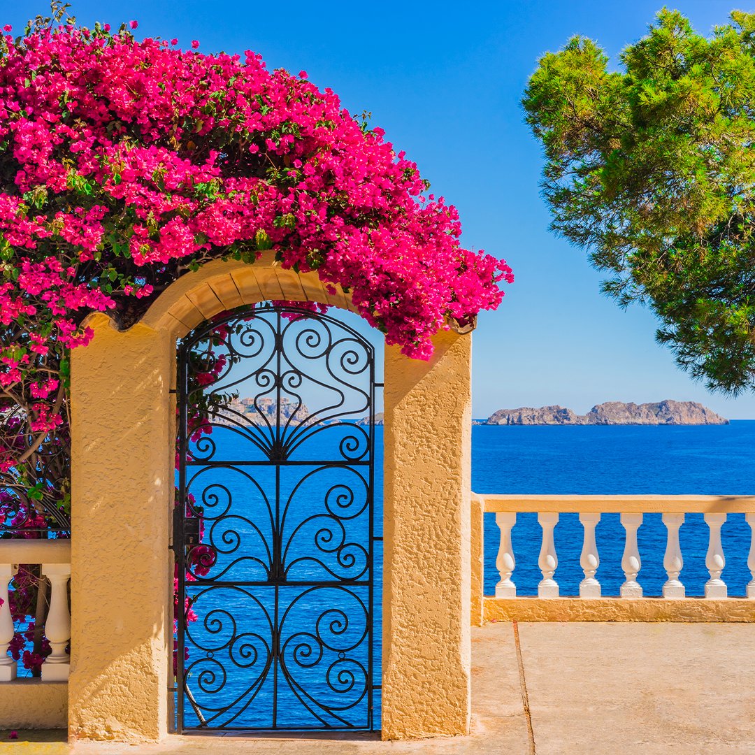 Ever dreamed about waking up in a new destination every day? Now you can make it reality. 📷 Discover #MSCOrchestra's new winter 2023-2024 itinerary where you sail to 7 destinations in 7 days. 📷 bit.ly/3t55zos
#MSCCruises #TheFutureOfCruising