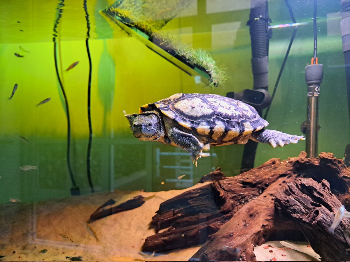 Jauler 🌊 tweet media