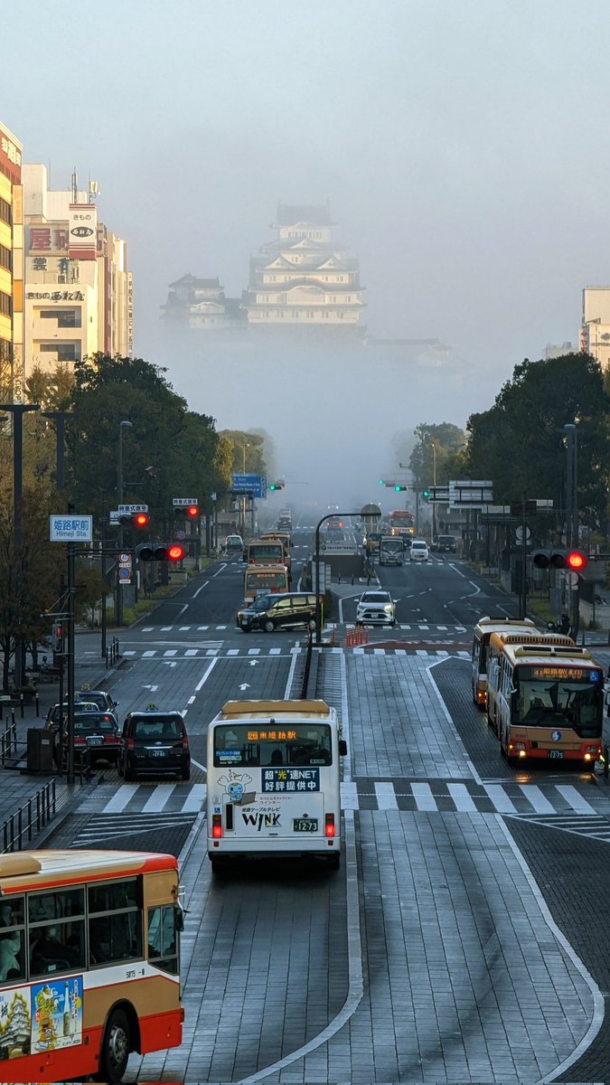 gICQ82SeelDdwEa's tweet photo. 今朝の姫路城は霧に包まれて幻想的でした🏯
それでは会社行ってきます🤗 https://t.co/NMUpD5dIVV