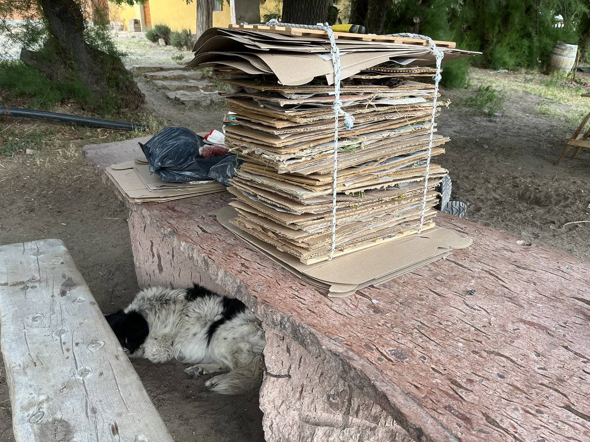 Collecting at the Patagonian steppe. <a href="/PPaleofloras/">Patagonia Paleofloras</a> <a href="/BaileyHortorium/">CornellHerbarium</a> <a href="/MEF/">MEF (Mobile Ecosystem Forum)</a>