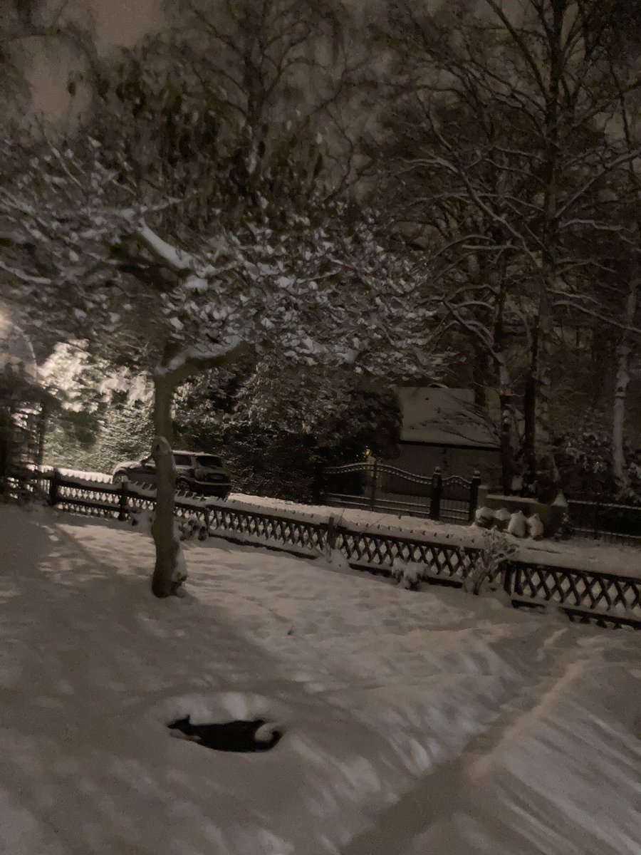 Nacht, Schnee &amp; <a href="/MInkorrekt/">Methodisch inkorrekt!</a> . Besinnlichkeit!