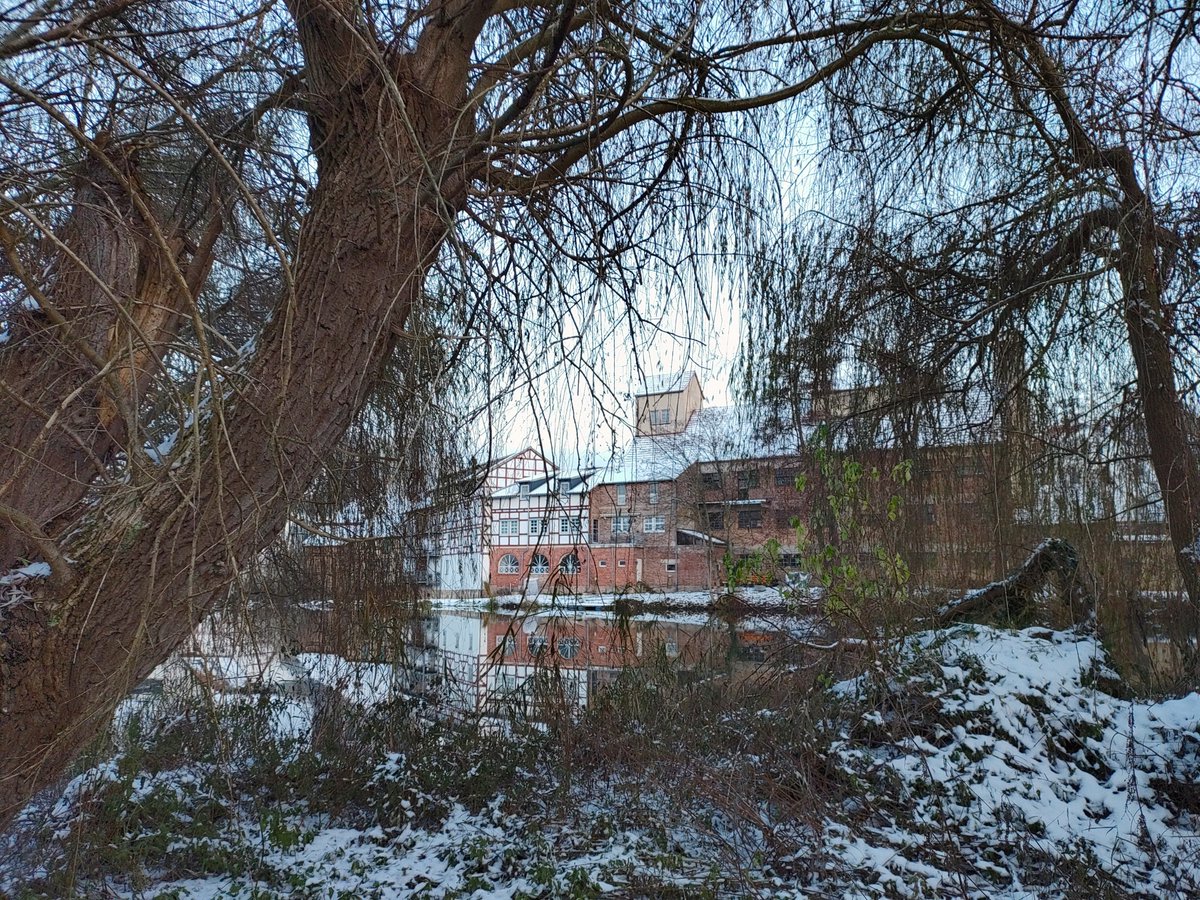 StephaneNature's tweet photo. Peaceful but cold #Thicktrunktuesday at the river side 🌳🍃🧑🦽🍁👫🍂🚵🌊🐳☃️🕊️
#Trees #TreeRide #Biodiversity #Climate #Rivers #Fulda #PeaceInFreedom #RussiansGoHome😡 https://t.co/vPfd2S2WPW
