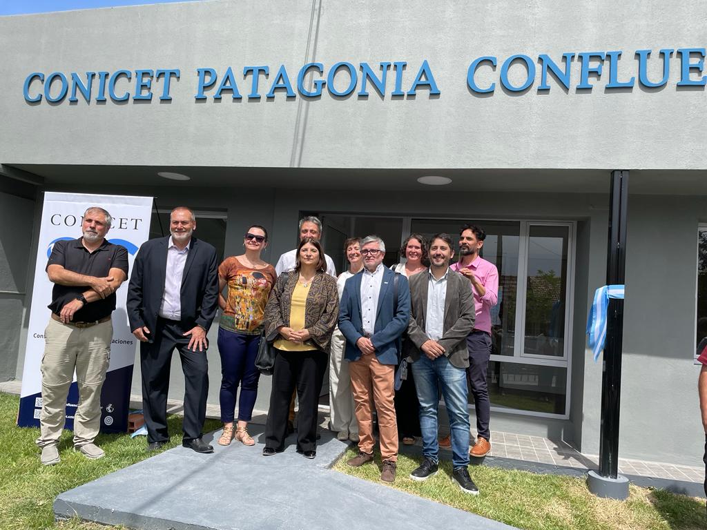 Ana Franchi tweet media