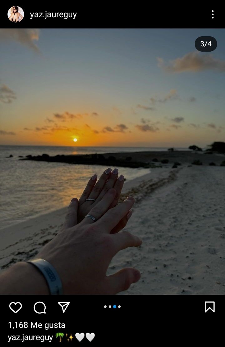 Botimalibu tweet media