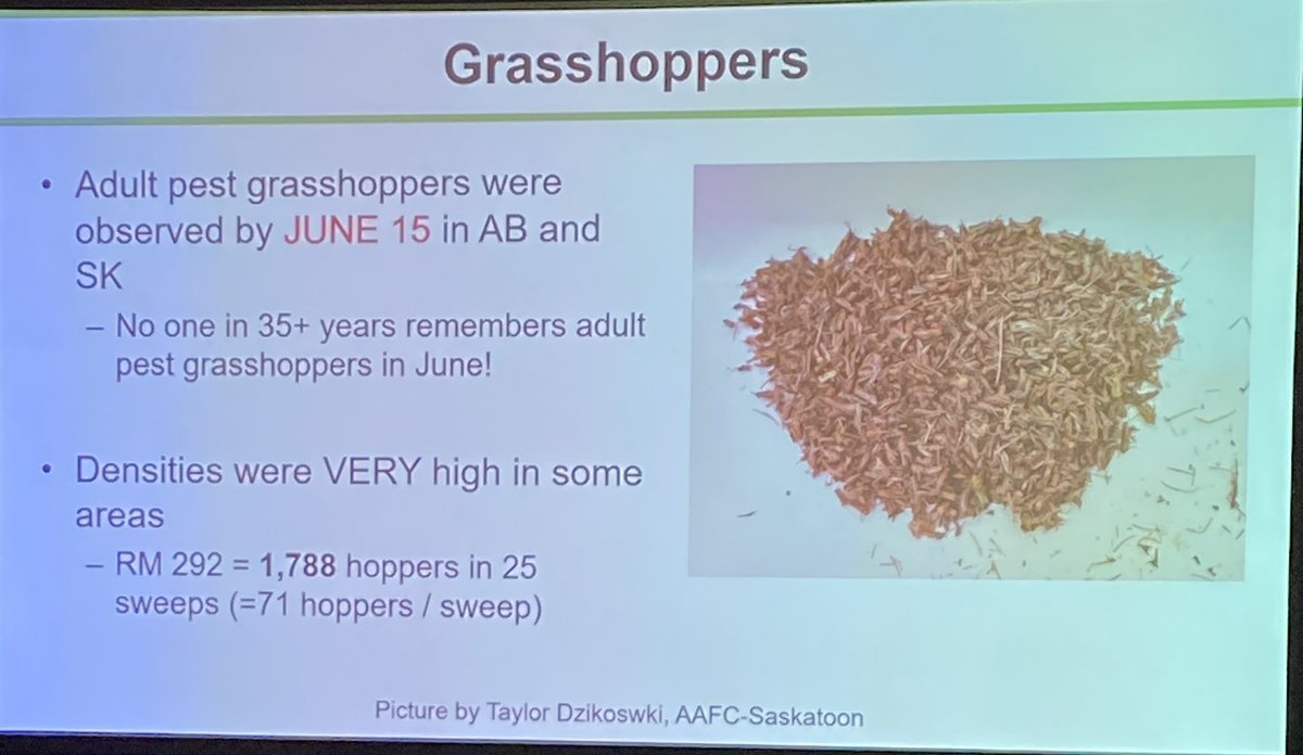 CW Jay Whetter tweet media