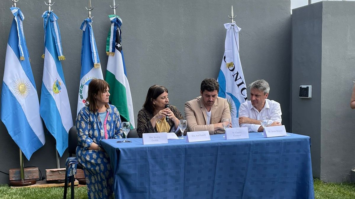 Ana Franchi tweet media