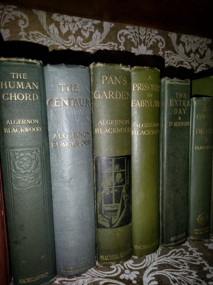 'Pan's Garden: A Volume Of Nature Stories' by Algernon Blackwood, published by Macmillon in 1912. A collection of British occultist and Weird Fiction writer Algernon Blackwood's Nature-oriented Supernatural Tales. 1/4