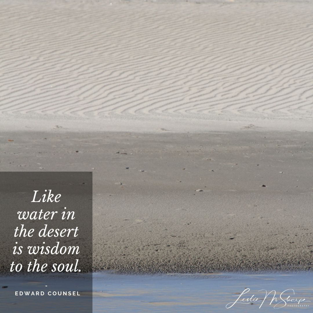 It’s all about perspective. Do you see the waters of opportunity or the dryness of the desert?
-
#drlesliesharpe #CameraReadyDoc #portraitphotography #productphotography #canon