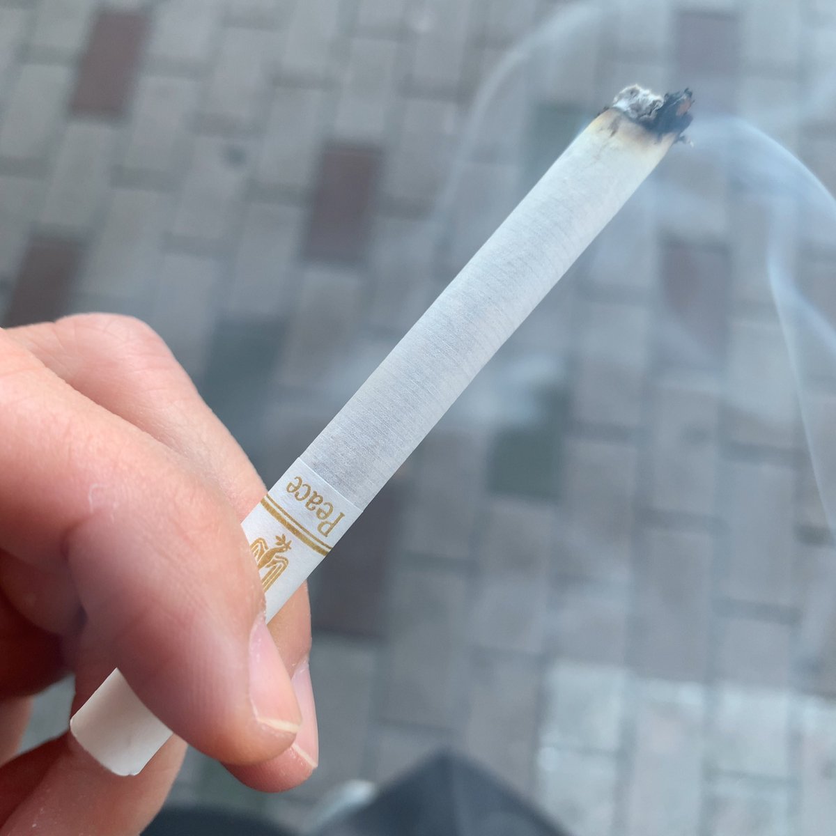 おはようございます。
金ピースを一服。