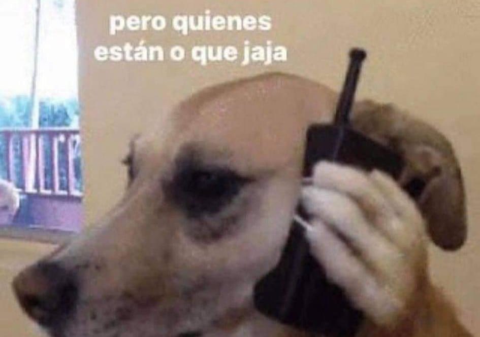 el jeringas tweet media