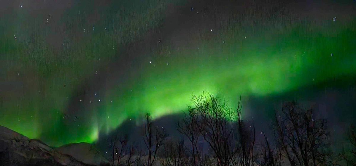 Karen Donaldson tweet media