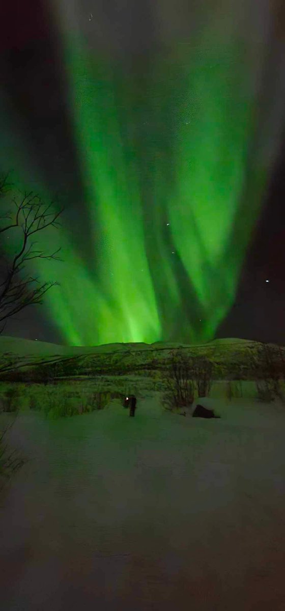 Karen Donaldson tweet media