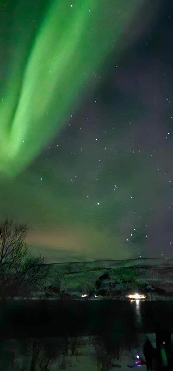 Karen Donaldson tweet media