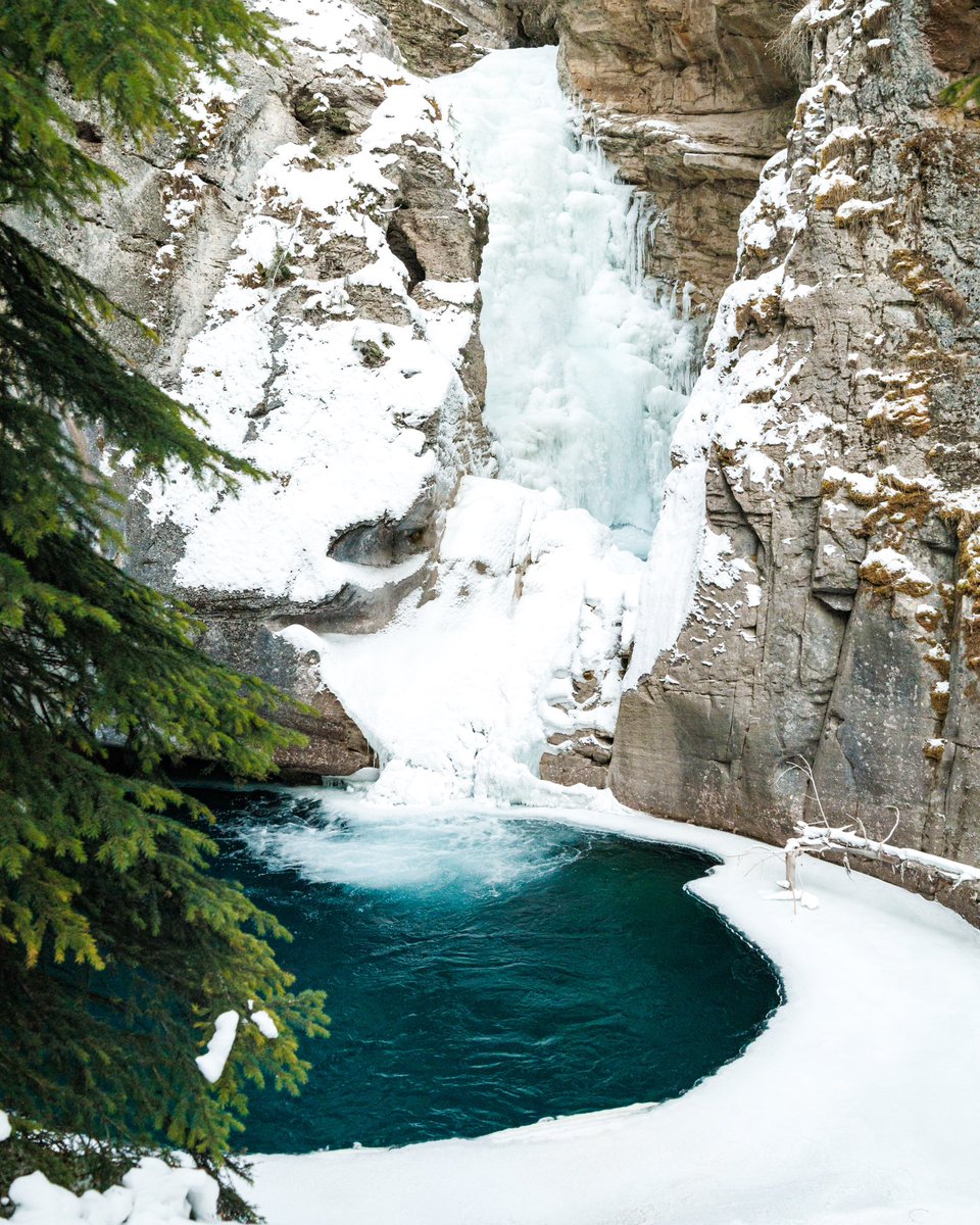 Ryan Lindsay tweet media